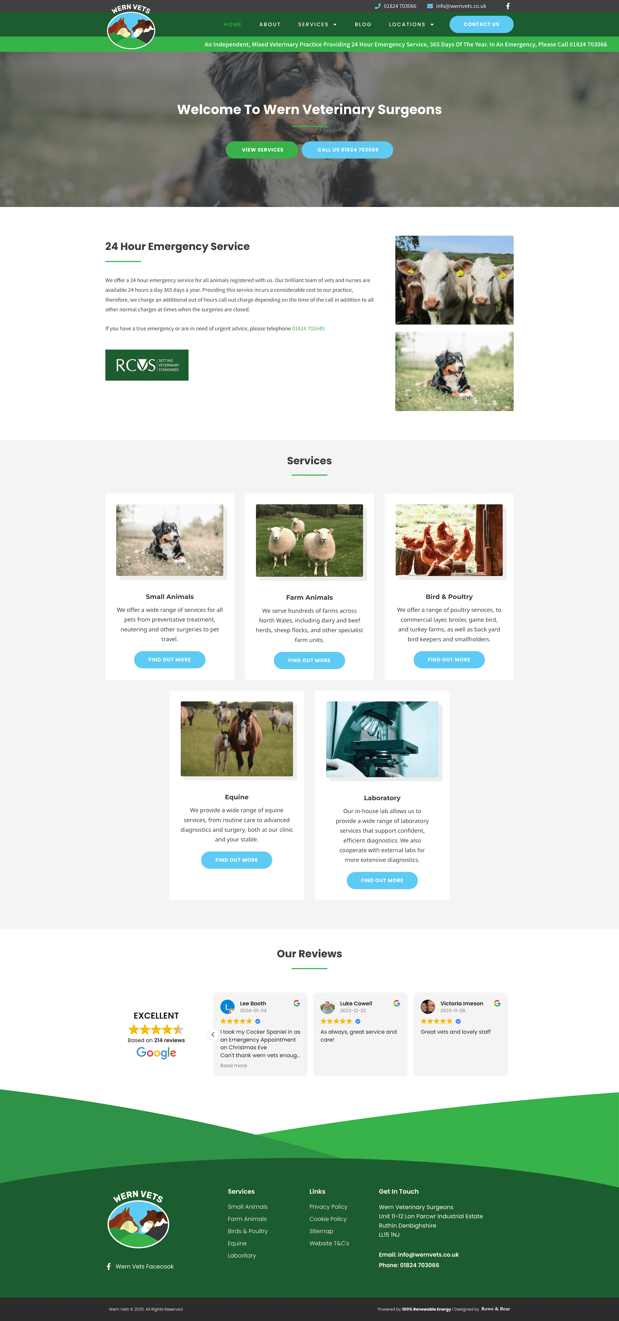 Wern Vets Website Design