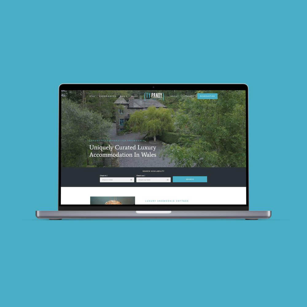 Ty-Pandy-Website-Design