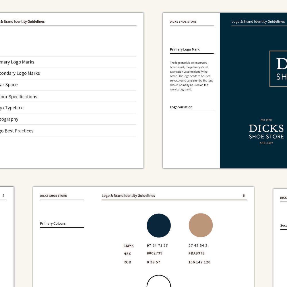 dicks-shoe-store-brand-guidelines-2
